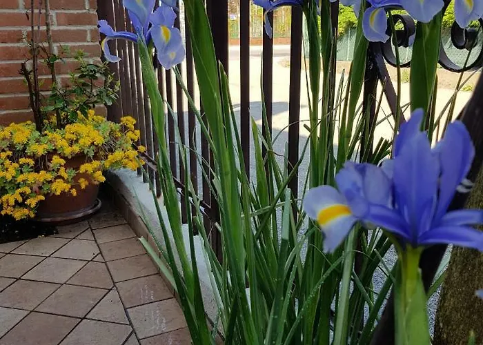 Ca' Arianna Appartement Mestre