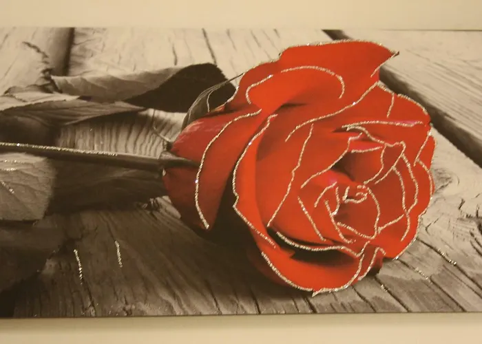 아파트 Ca' Arianna 메스트레